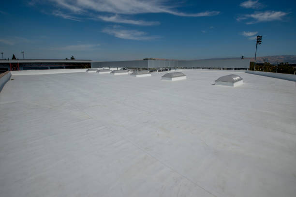Best Solar Panel Roofing Installation  in Saddle River, NJ